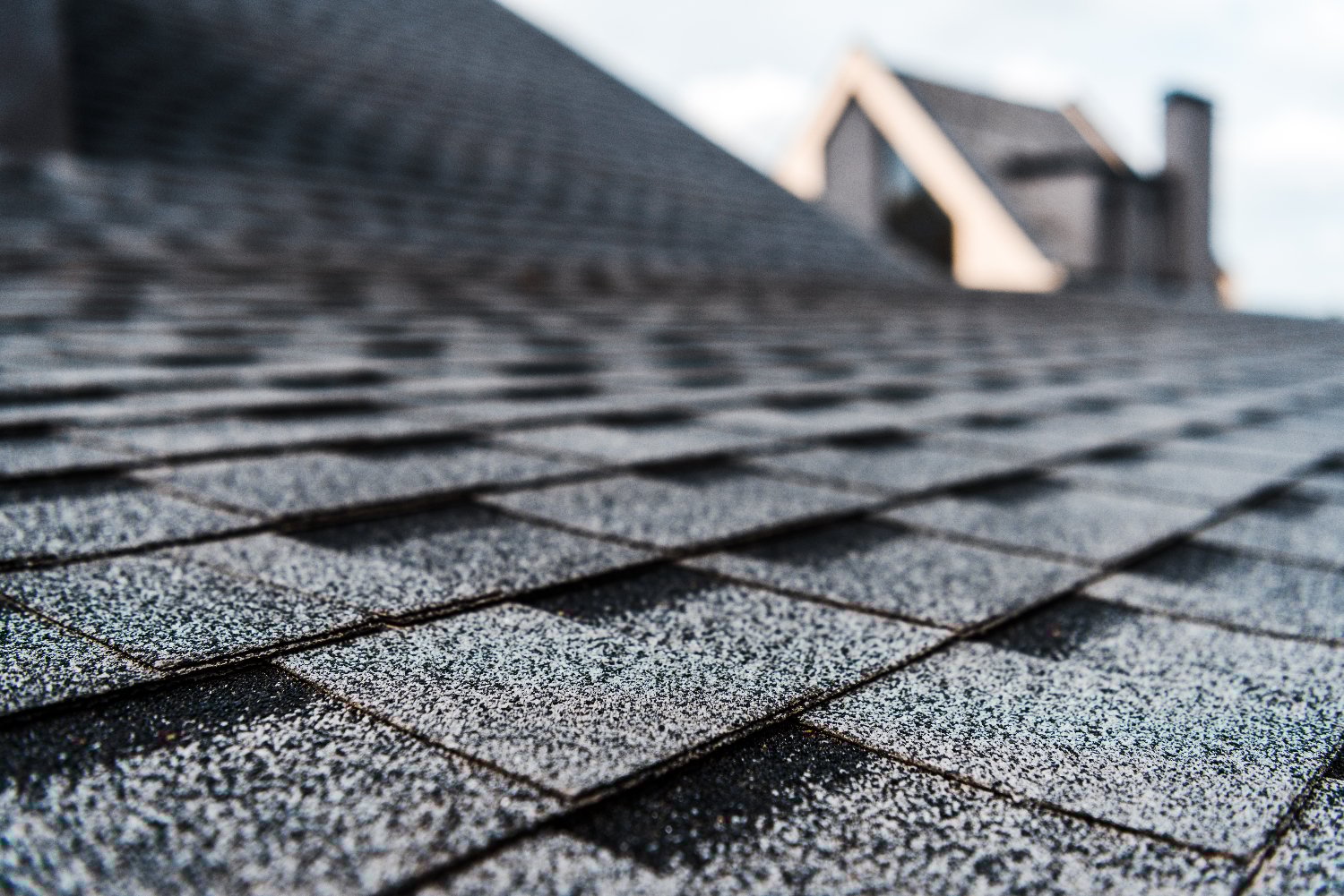 shingles close view