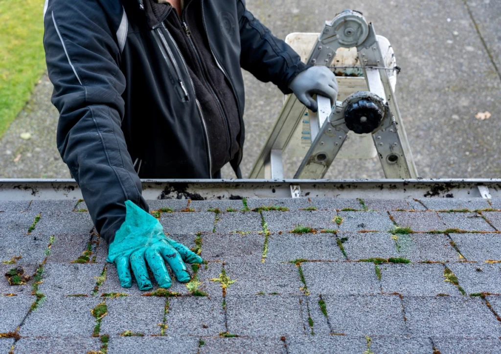 roof inspection checklist-gutters and shingle inspection