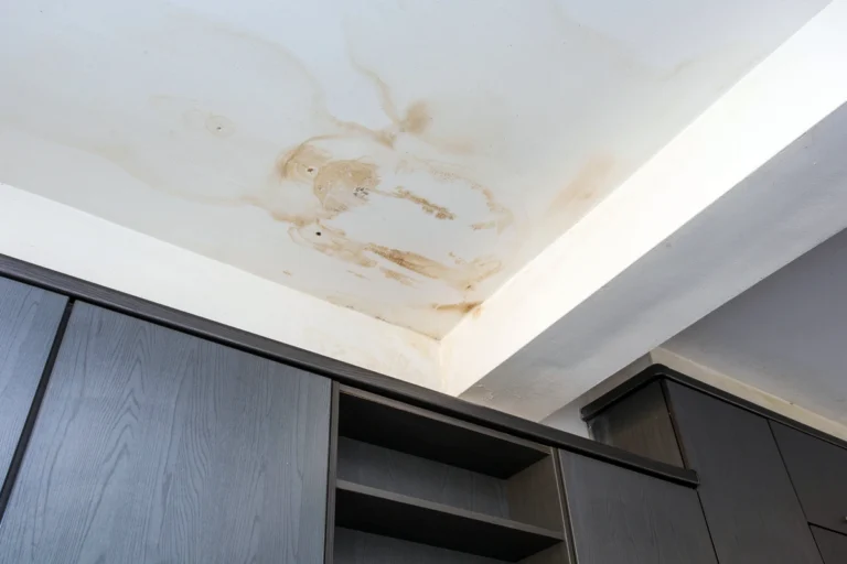 roof leak repair cost-mold stains on the ceiling