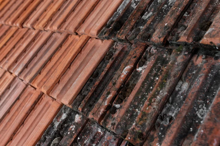 why are my roof shingles turning black-clay tiles turning black from weather