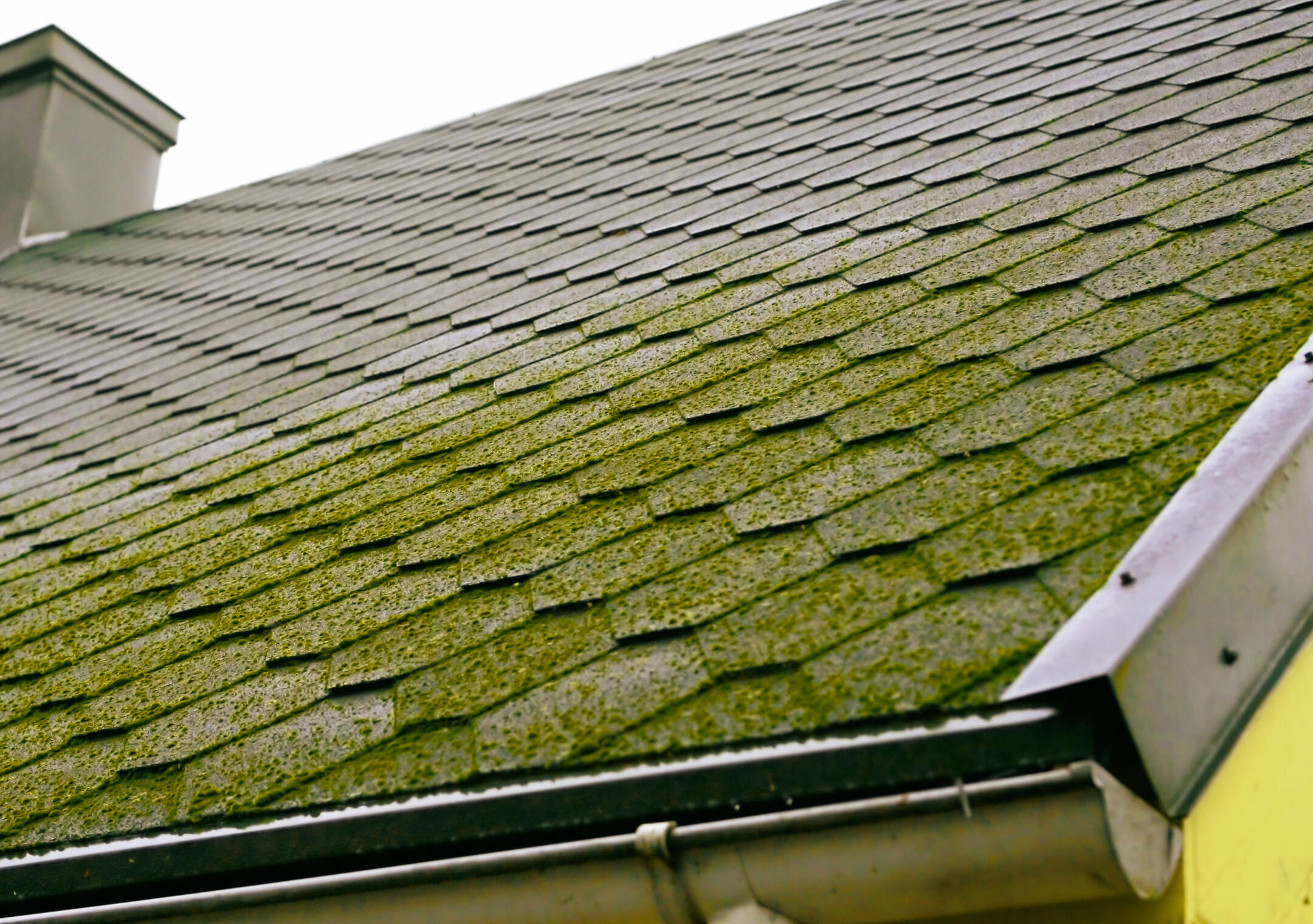 how to get moss off a roof-geometric shaped shingles with moss