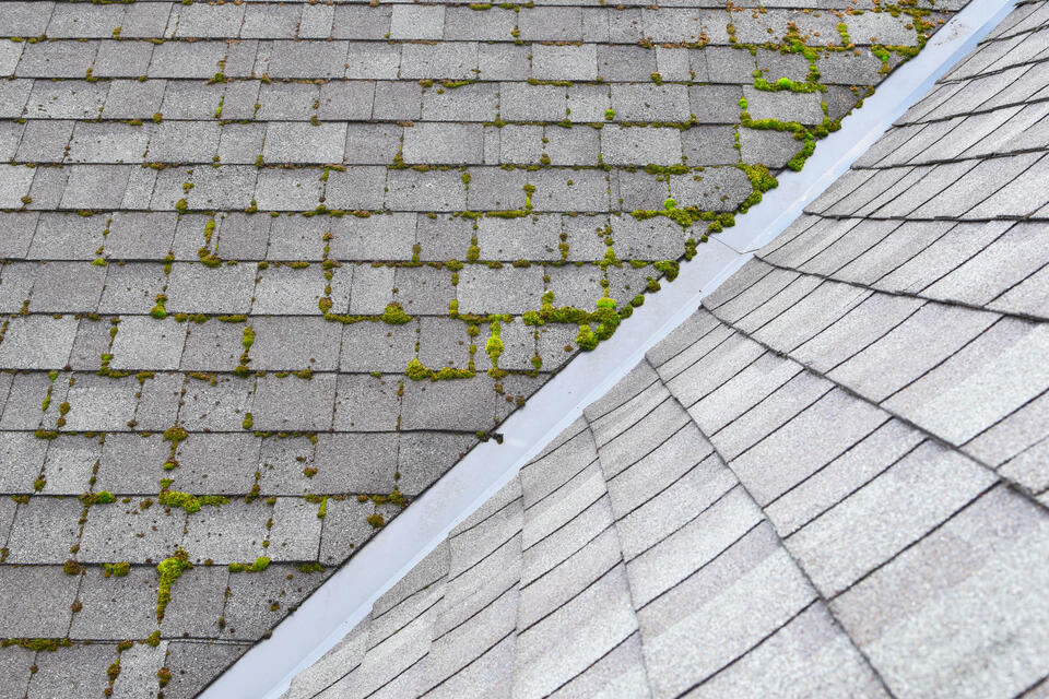 how to get moss off a roof-moss growing between shingles on a roof