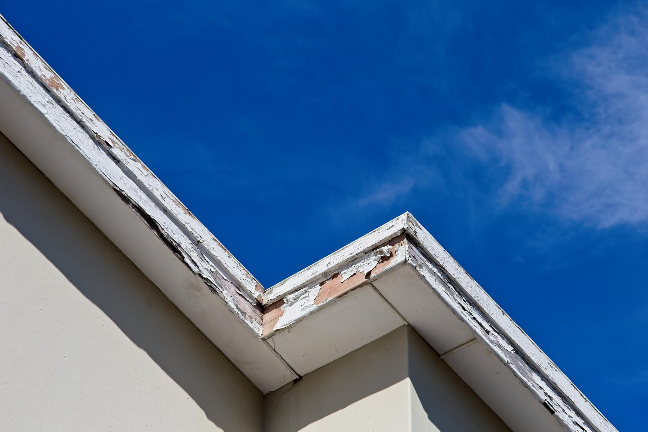 how to replace fascia board-close up image of damaged white fascia board