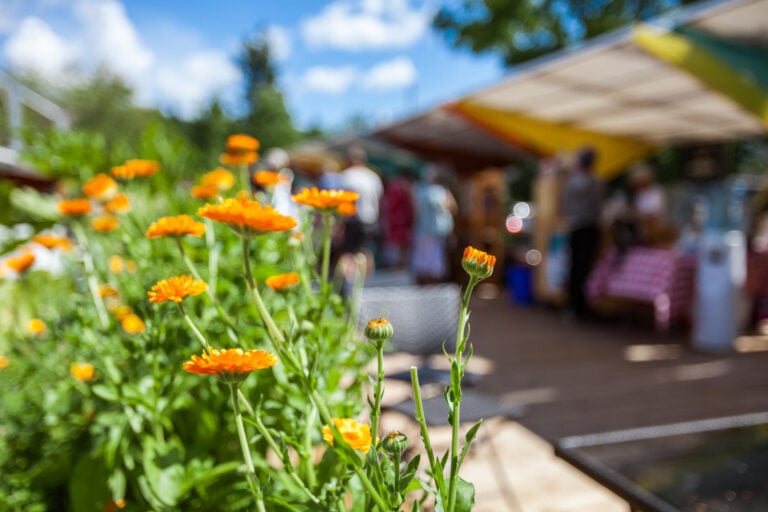 things to do in magnolia tx-farmers market