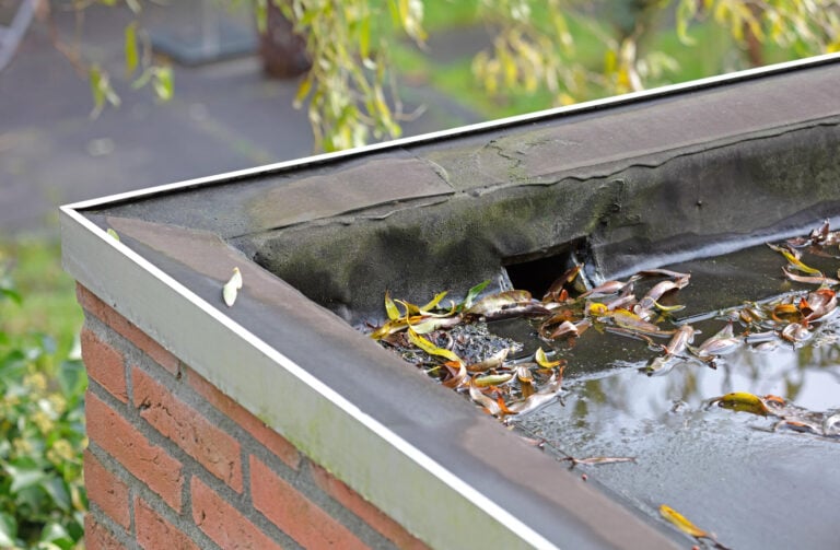 roof scupper-close up of flat roof drainage with leaves and debris