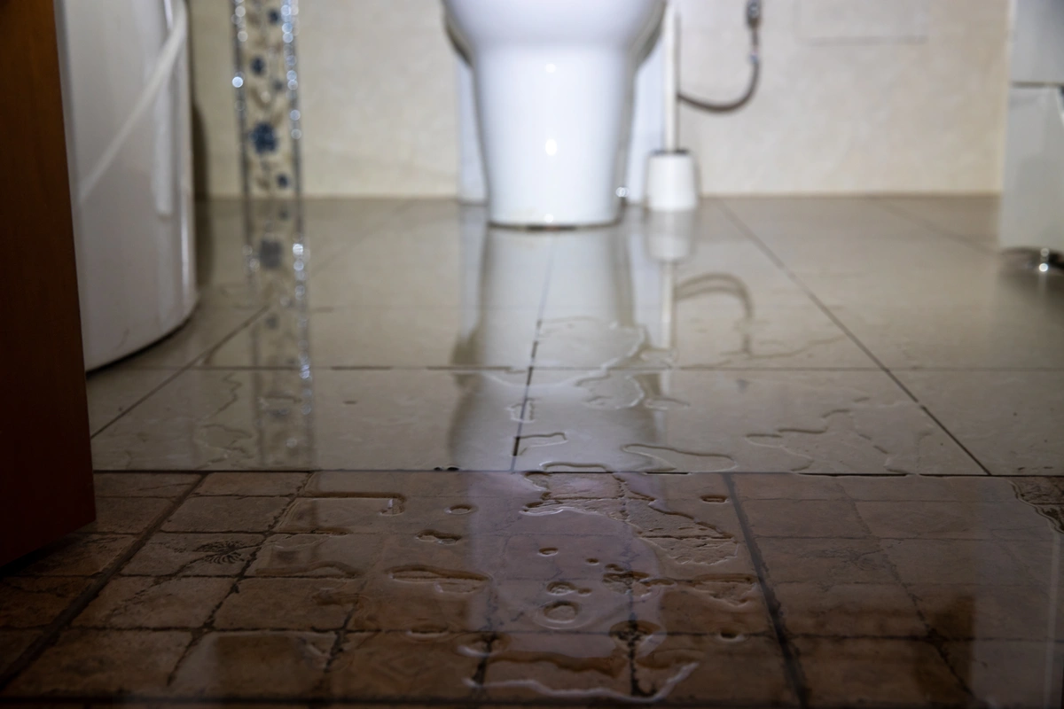 water on floor in front of toilet