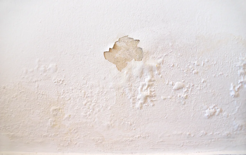 water damage on wall